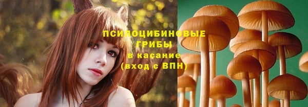 амф Алексин
