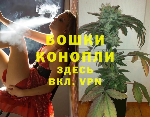 spice Алексеевка